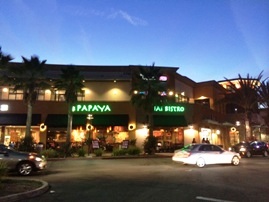 Papaya Thai Bistro