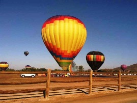 A Grape Escape Balloon Adventure