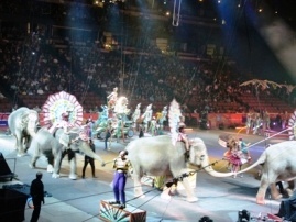 Ringling Bros. and Barnum & Bailey Circus