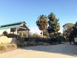 Fullerton Arboretum