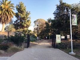 Fullerton Arboretum