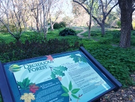 Fullerton Arboretum