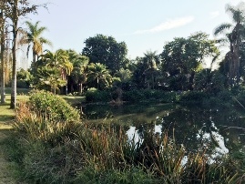 Fullerton Arboretum