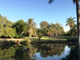 Fullerton Arboretum