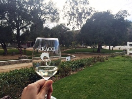 Giracci Vineyards and Farms