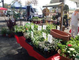 Irvine Great Park Farmer's Market