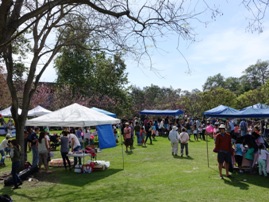 Cherry Blossom Festival