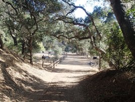 Santiago Oaks Regional Park