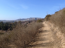 Santiago Oaks Regional Park