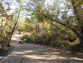 Santiago Oaks Regional Park