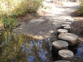 Santiago Oaks Regional Park