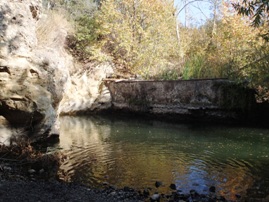 Santiago Oaks Regional Park