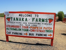 Tanaka Farms