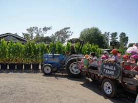 Tanaka Farms