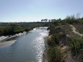 Upper Newport Bay