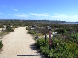 Upper Newport Bay