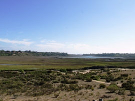 Upper Newport Bay