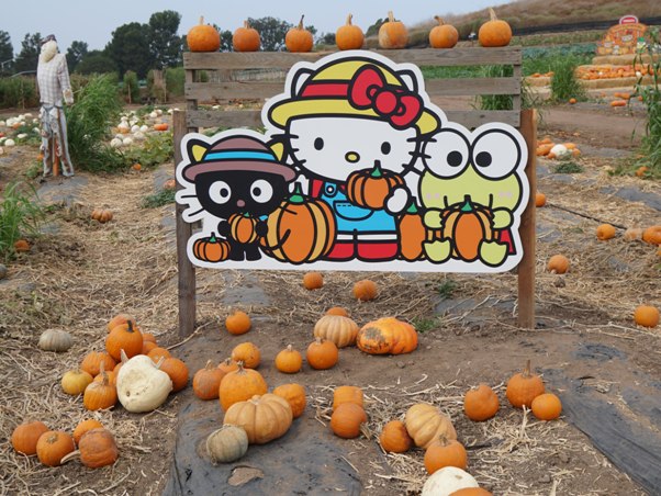 Tanaka Farms Pumpkin Patch