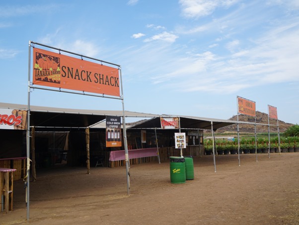 Tanaka Farms Pumpkin Patch