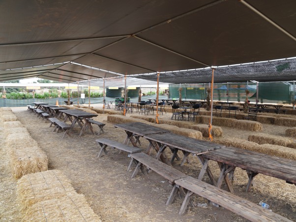 Tanaka Farms Pumpkin Patch