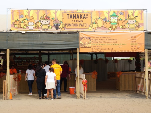 Tanaka Farms Pumpkin Patch