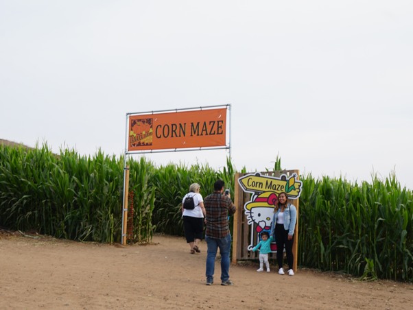 Tanaka Farms Pumpkin Patch