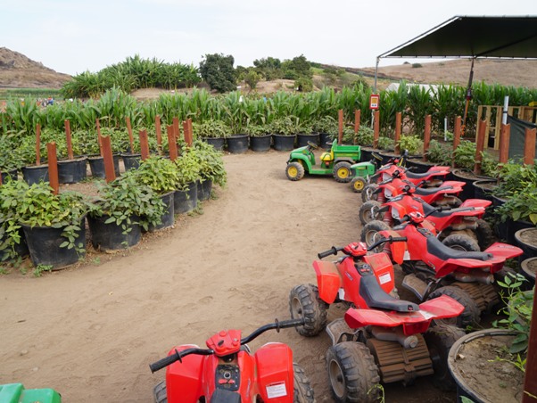 Tanaka Farms Pumpkin Patch