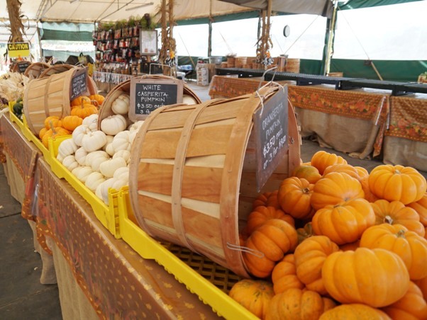 Tanaka Farms Pumpkin Patch