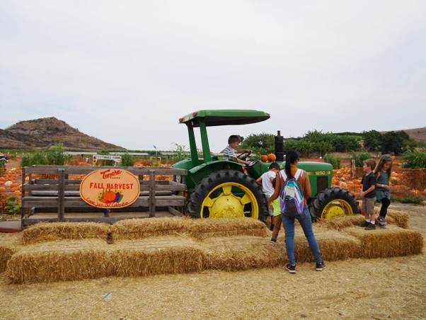 Tanaka Farms Pumpkin Patch