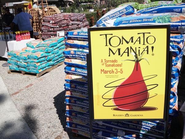 Tomato Mania