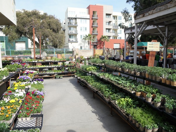 Huntington Beach Farmers’ Market