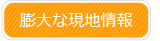 膨大な現地情報