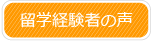 留学経験者の声